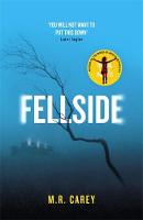 Fellside (ePub eBook)
